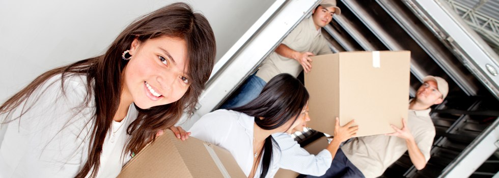 Professional Removalists Roughit